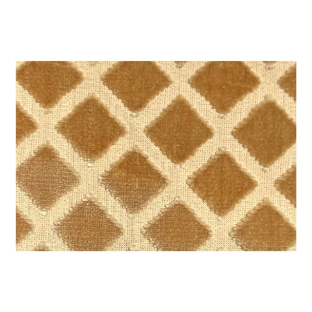 17 Yards Nancy Corzine Antinori Florentine Gold Silk Cut Velvet Fabric For Sale