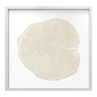 Stump 1 - Variation 4 by Trinette + Chris Print with White Frame - 50 X 50 For Sale