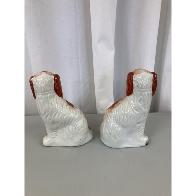 Pair of Staffordshire Terrers For Sale - Image 4 of 7