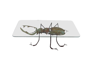 French Scarab Coffee Table by François Melin, 1970