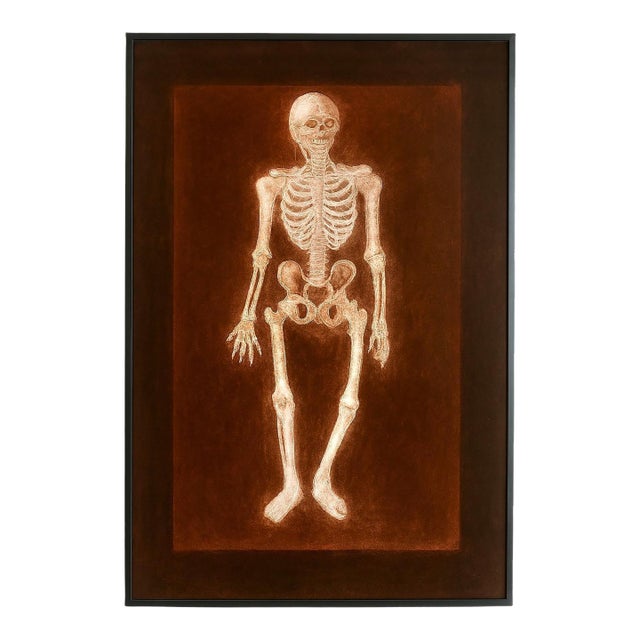 Alain Gerard Clement Silver Gelatin Photogenic Image Human Skeleton For Sale