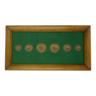 Mid 20th Century Custom Framed & Mounted Trout Flies For Sale