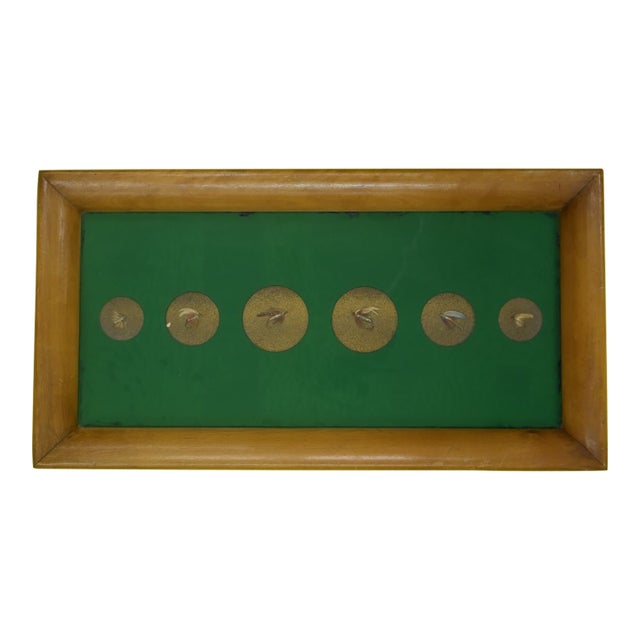 Mid 20th Century Custom Framed & Mounted Trout Flies For Sale