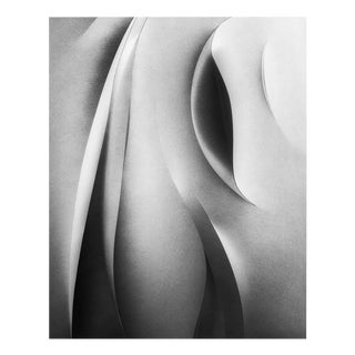 Papercut no.3 - Black and White Abstract Photogoraphy, Limited Editon of 20. 2025 For Sale