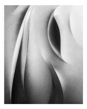 Papercut no.3 - Black and White Abstract Photogoraphy, Limited Editon of 20. 2025