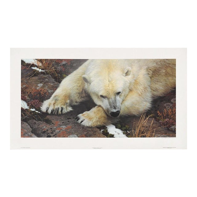 Carl Brenders "Top of the World - Polar Bear" Signed Limited Edition Lithograph, 1995 For Sale