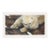 Carl Brenders "Top of the World - Polar Bear" Signed Limited Edition Lithograph, 1995 For Sale