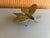 Brass Moth Insect Handmade French 2 X 4 For Sale - Image 12 of 16