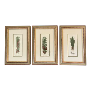 1980’s Original Vintage 3 Vegetable Colored Lithograph Prints Custom Frames -Set of 3