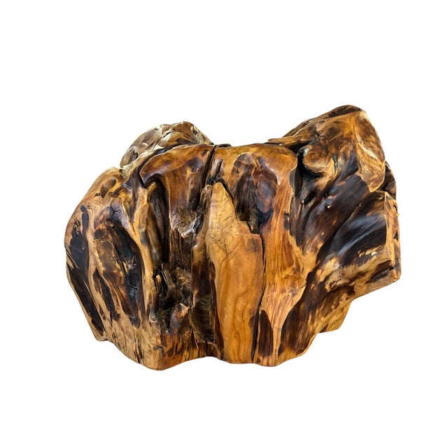 Tan Amorphic Handcrafted Root Wood Wine Rack For Sale - Image 8 of 9