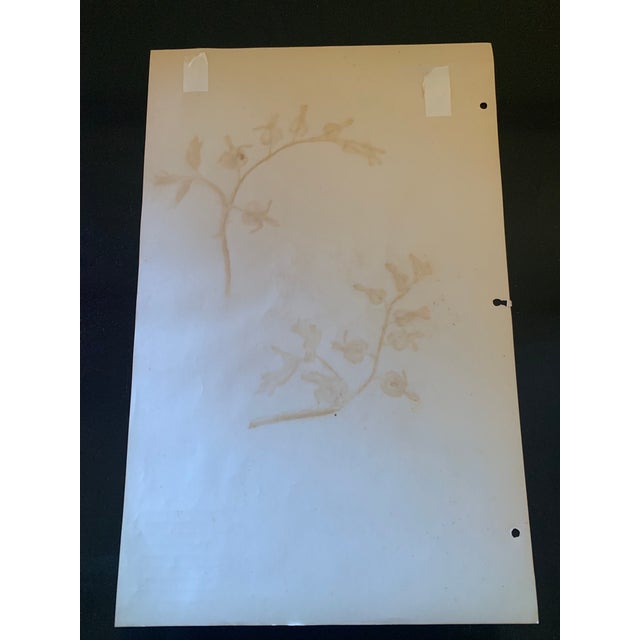 Authentic Vintage Flower Specimen From 1917 For Sale - Image 4 of 5