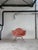 Ultra rare non booked color sm salmon from 1962. salmon was made 1962-1966 gatc double triangle logo was made 1959-1962...