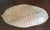 Traditional Early 19th Century English Wedgwood Creamware Fern Leaf Shape Dish For Sale - Image 3 of 11