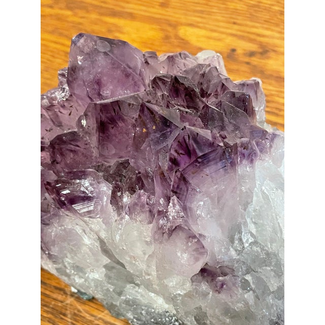 Amethyst Amethyst Crystal Specimen For Sale - Image 8 of 13