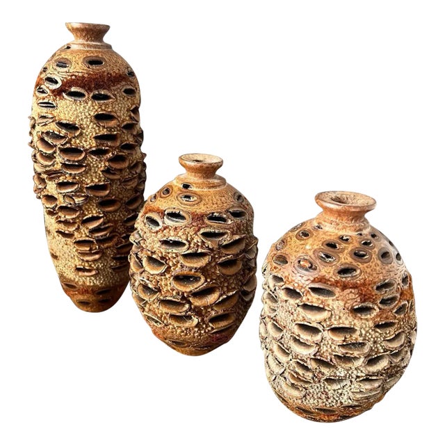 Vintage Organic Banksia Seed Vases- Set of 3 For Sale