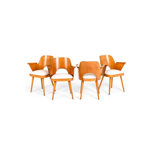 A set of four plywood dining chairs in original finish by renowned Czech designer Ozwald Haerdtl and manufacutred by...