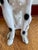 Vintage Chalkware Life Size Dalmatian Statue For Sale - Image 12 of 13