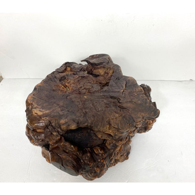 Asian Late 19th Century Hibachi Tree Root For Sale - Image 3 of 5
