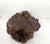 Asian Late 19th Century Hibachi Tree Root For Sale - Image 3 of 5