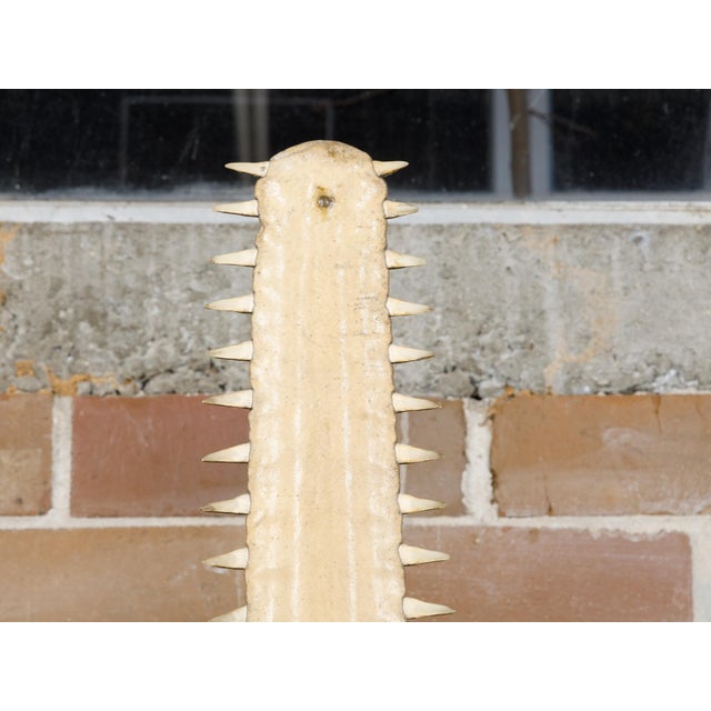 Signed Anthony Redmile Sawfish Decorative Objects Mounted on Brass Bases, 1970s For Sale In Atlanta - Image 6 of 12