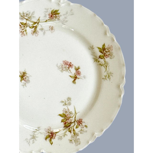Exquisite turn-of-the-century French porcelain plates, hand-decorated by Haviland & Co. in Limoges for Clark Sawyer Co.—a...