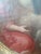 Antique 18th Century Religious Oil Painting Assumption of the Virgin Mary For Sale - Image 13 of 16