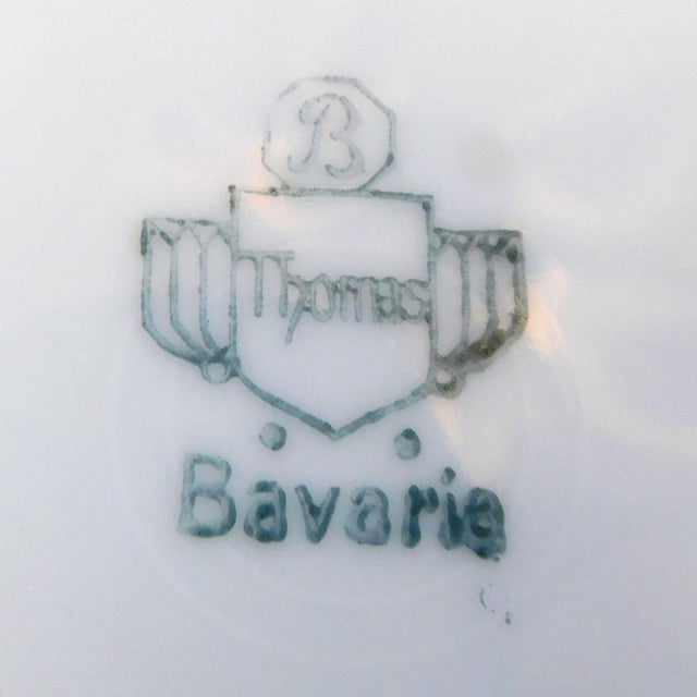 1950s 1950s Thomas White Dinner Plate With Blue Flowers For Sale - Image 5 of 5