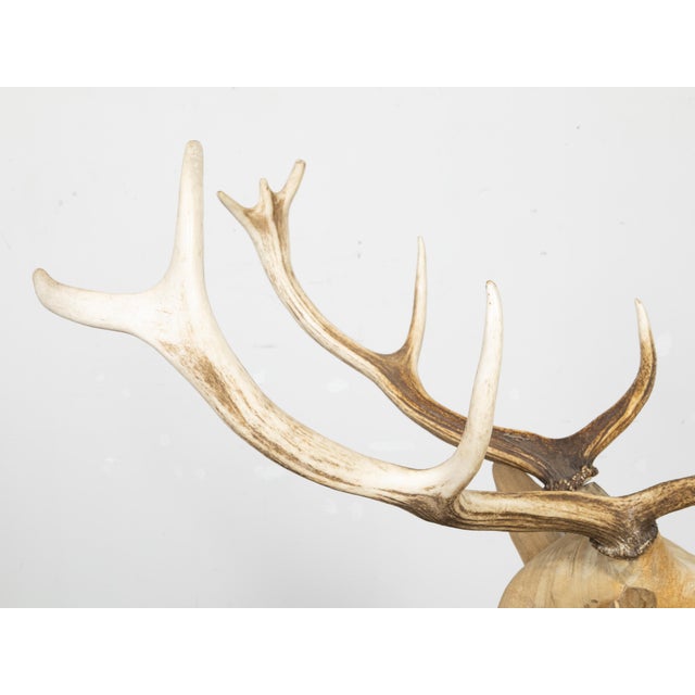 Mid-Century Modern Vintage Midcentury Sculpture of a Walking Stag with Antlers and Natural Patina For Sale - Image 3 of 12