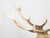Mid-Century Modern Vintage Midcentury Sculpture of a Walking Stag with Antlers and Natural Patina For Sale - Image 3 of 12