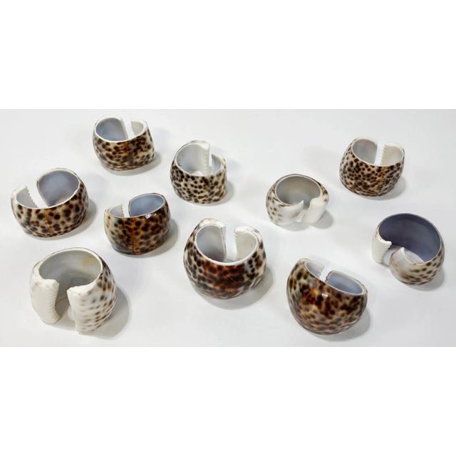 Set of ten (10) tiger cowrie shell napkin rings of varying pattern and size. Natural age wear. Each ring is a slightly...