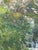 Vintage Impressionist Spring Landscape Painting With Stream in Gilt Toned Frame - Signed For Sale - Image 9 of 10