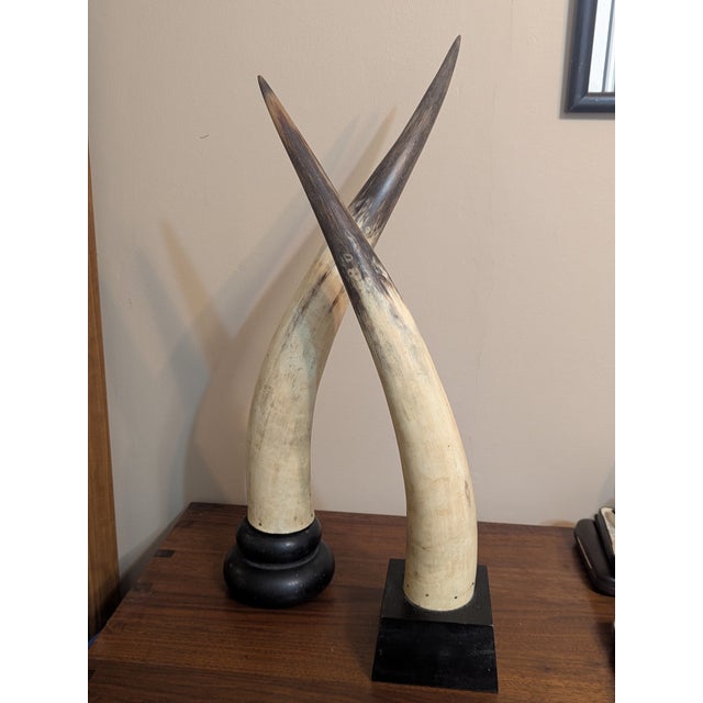 Vintage Mounted Longhorns W/ Wooden Mounts For Sale - Image 9 of 10