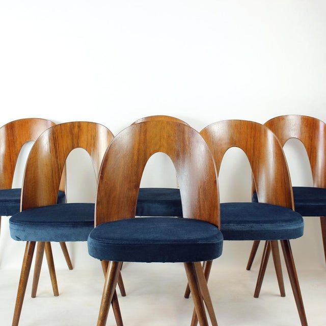 Tatra Chairs in Walnut and Velvet by Šuman, 1960s, Set of 6 For Sale - Image 9 of 18