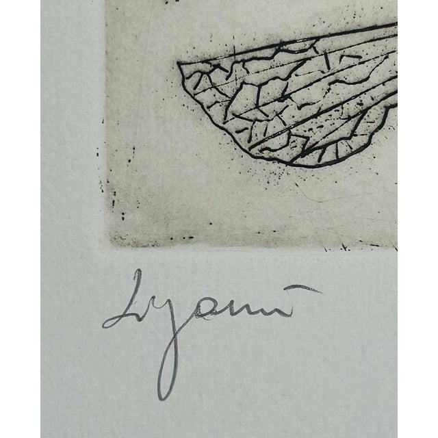 Giuseppe Zigaina, Civetta, 1978, Etching, in Good conditions. Designed 1970 to 1979 This piece has an attribution mark, I...