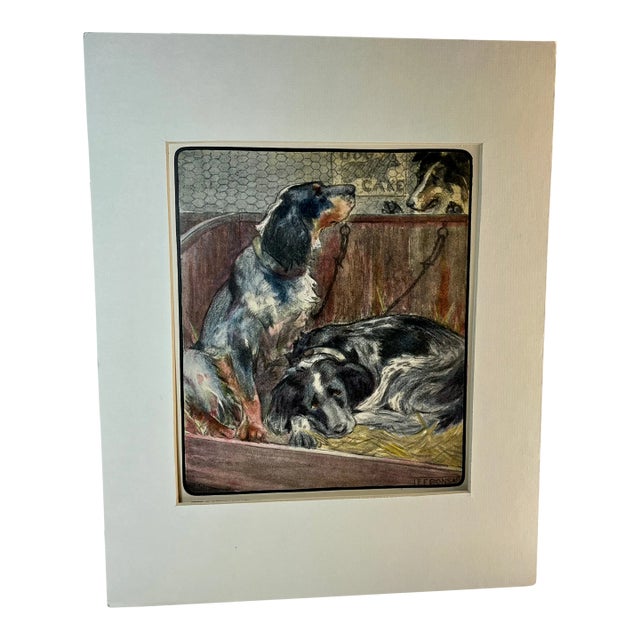 1930s Vintage Spaniel Hunting Dog Print For Sale