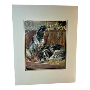 1930s Vintage Spaniel Hunting Dog Print