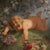 Italian Artist, Nude Figurative Composition, 19th Century, Oil Painting on Canvas, Framed For Sale - Image 11 of 16