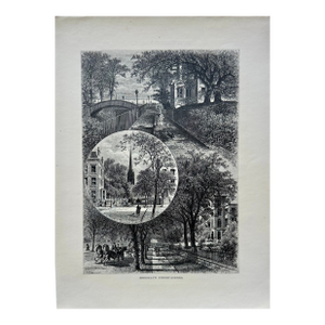Brooklyn Street Scenes (Clinton & Joralemon Street), Original Print, 1874