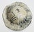 Antje Scharfe Berlin 1953 Ceramic bowl, 1991 Monogrammed, signed, and dated Size: 7 x 26.5 x 26 cm Good original condition...
