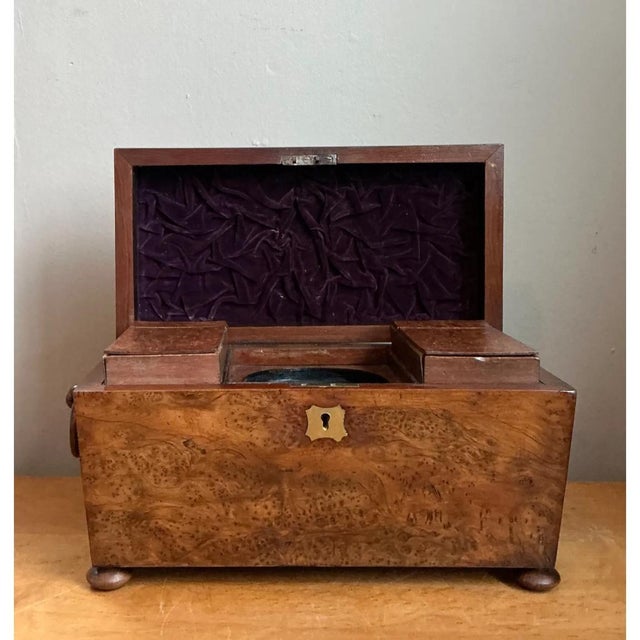 Vintage Burl and Brass Decorative Box For Sale In West Palm - Image 6 of 13