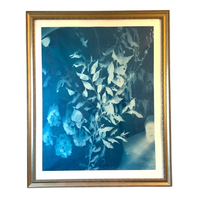 Snowball Sunprint Contemporary Photograph For Sale