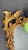 This is an incredibly beautiful gilt mirror. It is labelled on the back Freidman Brothers. It is French Baroque and...