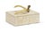 Contemporary Wildwood Antler Wooden Box, Small For Sale - Image 3 of 3