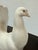 Mid 20th Century Lladró Paloma Grande Porcelain Figurines, Pair For Sale - Image 5 of 12