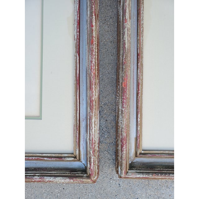 Pair of Antique John Gould & h.c. Richter Hand-Colored Bird Lithographs 19th C, Framed For Sale - Image 10 of 12