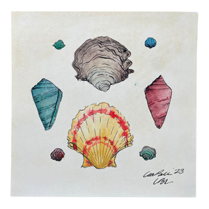 Shells on Antiqued Paper