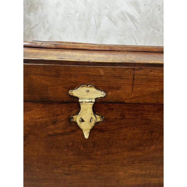 Antique Camphor Wood Chest, 1900 For Sale - Image 12 of 14