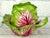 Realism Meissen Pink Cabbage-Shaped Box - Trompe l'Oeil Porcelain by Didier Gardillou For Sale - Image 3 of 7