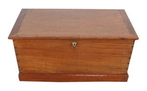 Late 19th Century Mahogany Travel Trunk