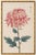 Pink Mum, Vintage Japanese Botanical Art Print, 36" X 54" For Sale In Buffalo - Image 6 of 11